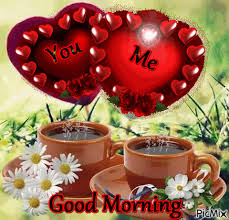 Hope you have an amazing day! 5566386 B341c Gif 480 460 Good Morning Gif Good Morning Love Gif Good Morning Flowers Pictures