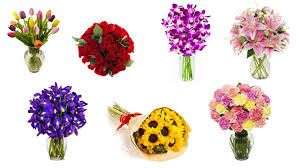 How to make sure your tulips return. Best Romantic Flowers Vtwctr