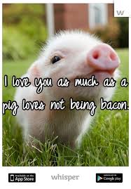 Whisper Share Secrets Express Yourself Meet New People Going Vegan Vegan Animals Animal Activism