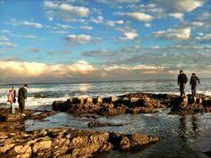 Maybe you would like to learn more about one of these? Cabrillo Beach Tide Pools In San Pedro Ca