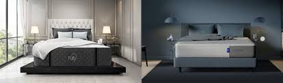 Best mattresses in a box of 2021. Mattress In A Box Brands Compared Casper Vs Puffy Updated For 2021