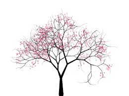 Again, use u shaped lines with dented bottoms, connected to enclose. Japanese Cherry Blossom Tree Drawing Png Free Japanese Cherry Blossom Tree Drawing Png Transparent Images 90761 Pngio