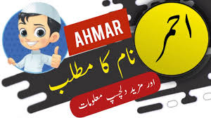 We did not find results for: Download Ahmar Mp4 Mp3 3gp Naijagreenmovies Fzmovies Netnaija