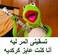 pin by فراشة الوادي on lol funny dude funny comments funny qoutes