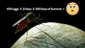Arizona pest control offers a wide variety of pest control programs in tucson, green valley, and surrounding areas now, our second generation of trained, certified, bonded and insured technicians continue to address all of your residential and commercial pest control needs throughout tucson. Home Pest Control Blog Hometeam Pest Defense