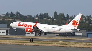 Warga masih dilarang mendekat ke lokasi jatuhnya pesawat. Kesaksian Mengerikan Penumpang Lion Air Jt 610 Sebelum Jatuh