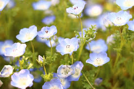 Read the rest of this entry ». Tg38iplhuhvrfm