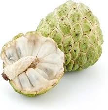Image result for Annona squamosa