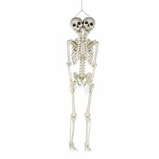 Two Headed Life Size Posable Skeleton Halloween Decoration Posable Skeleton Halloween Skeleton Decorations Halloween Skeletons