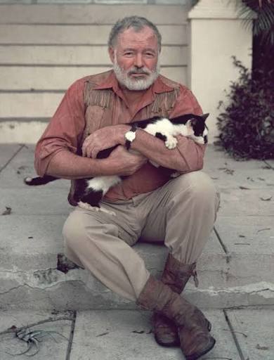 File:Ernest-Hemingway-with-cat-1954.jpg - Wikimedia Commons