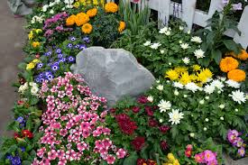 Hours may change under current circumstances Mille Fiori Favoriti A Bit Of Spring In Winter At O Toole S