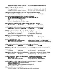 Portion of the cell outside the nucleus. Cell Structure And Function Summative Assessment Chapter Test With Answer Key