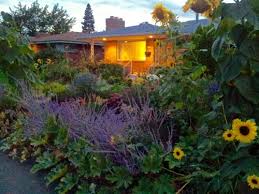 Learn permaculture design science from home for free. Urban Permaculture Design Your Own Backyard Oasis Out There Outdoors