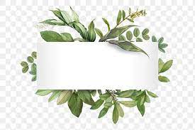 Download Premium Png Of Tropical Botanical Banner Transparent Png By Kappy Kappy About Color Message Flower Graphic Design Logo Design Art Wreath Illustration