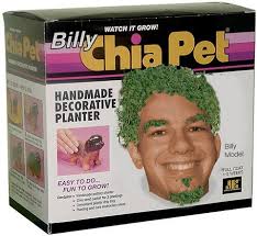 Newest Hilarious Chia Pet