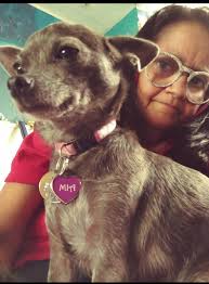 FYI: Most of the disinformation about vaccines is coming out of Russia and  China. If you espouse this disinformation you are being a Russian and  Chinese asset, albeit, I assume unwittingly. Russia