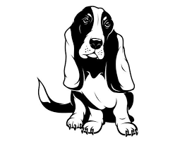 Pin By Gleison Ribeiro Coral Vpc On Basset Hounds Rule Animal Stencil Dog Sketch Easy Drawings