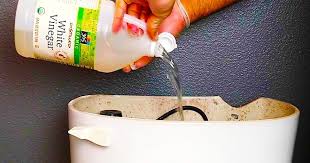 put vinegar on your plants and this will happen toilet tank cleaning hacks cleaning household