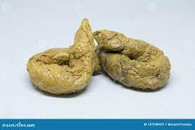 Real Feces on White Background Stock Image - Image of concept, real:  107298929