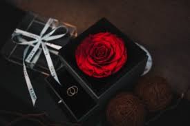 Dried flowers and preserved flowers online order. Preserved Flowers Singapore Bell Jar Collection Valentine S Day