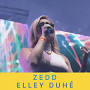 Video for Zedd Happy Now