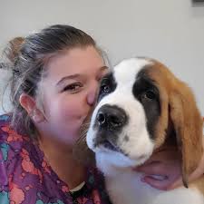 Nose To Tail Pet Grooming