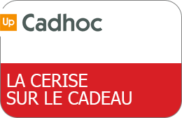 Reductions Et Promotions Mr Bricolage Achat De Cartes Cadeaux Moins Chers Place Des Cartes