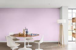 Pink bedroom ideas dulux blush noisette 3 by walls girls room hallway colours make a statement in any with shades of color trends 2018 popular interior paint colors 4 bedrooms made me exterior tea rose satin 250ml departments diy at b q living trade vinyl matt. Pretty Pink Dulux