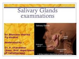 Image result for Submandibular Exam