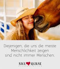200 Pferdespruche Weisheiten Ideen Pferdespruche Pferd Pferde Zitate