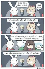Hình ảnh có liên quan