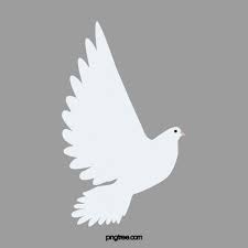 Burung yang paling laris di gambar ialah burung garuda, burung hantu, burung elang, burung merpati dan masih banyak burung lainnya. Gambar Burung Merpati Putih Terbang Putih Merpati Melambung Tinggi Png Dan Psd Untuk Muat Turun Percuma
