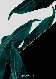Delicate Emerald Border Wedding Background Plant Background Wedding Background Flower Background Wallpaper