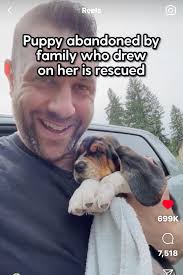 Poppy and Gus are now fully settled and in charge 🥰