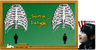 Begitu ketara perbezaan rutin harian sebagai seorang lelaki dan juga perempuan. Jumlah Tulang Rusuk Lelaki Perempuan Sebenarnya Sama Dan 5 Lagi Mitos Yang Korang Percaya Bulat Bulat Soscili