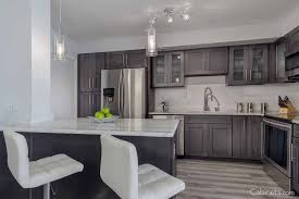 Shaker Ii Maple Slate Online Kitchen Cabinets Buy Kitchen Cabinets Kitchen Redesign