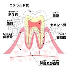 虫歯予防デーのポスターを無料素材でかわいくデザインできる 歯医者さん関連イラストセレクション ころえもんカフェ 歯医者 歯医者さん ポスター