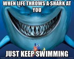 Maybe you would like to learn more about one of these? 20 Just Keep Swimming Memes To Motivate You Sayingimages Com Swimming Memes Swimming Funny Swimming Motivation