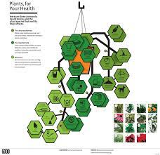Plants For Health Improve Your Indoor Air Quality Indoor Plants Clean Air Air Cleaning House Plants Indoor Plants