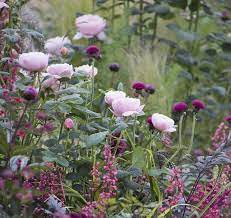Kuvan Alkupera Taalta Kerrottakoon Etta Uuden Kotimme Ilme On Moderni Kivitalo En Silti Osaa Ajatella Itselleni M Colorful Garden Garden Inspiration Plants