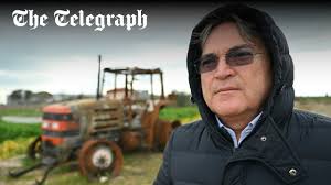 Italian mafia gangs now target 'green gold' as olive oil value surges