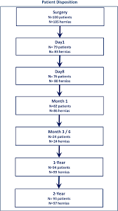 Figure 1 From Two Year Patient Related Outcome Measures