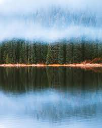 A Silent Morning In Northern Oregon The Only Sounds Were My Own Breath And The Crunch Of Frozen Dir Wilderness Adventures Nature Inspiration Purpose Of Travel
