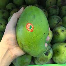 Harga promosi rm 45 sekilo untuk yang pre order penghantaran bulan jun 2019. Buah Mangga Harum Manis Kualitas Super Harga Kiloan Termurah Shopee Indonesia