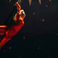 Flip Circus event image