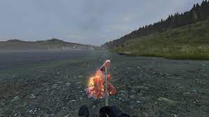 Cooking In Dayz 1 10 You Have To Know That In Order To Become The Chef