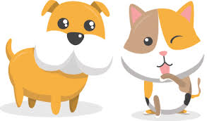 Самые новые твиты от angel pet hospital (@angelpethospit): Merwin Clinic