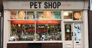 Pet stores pet services dog & cat furnishings & supplies. Math Puzzle Can You Replace Brain Teasers 2746 Pet Shop Maths Puzzles Pet Store