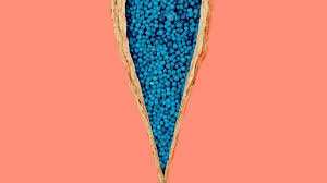 As an alternative, you can dip a tampon in coconut oil and insert it in your vagina. What Is Vaginal Itching Symptoms Causes Diagnosis Treatment And Prevention Everyday Health