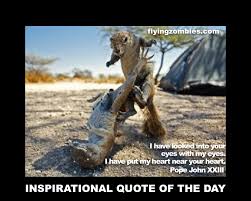 Whether the hunter or the hunted every creature big or small needs an advantage to survive and mother nature has been generous enough to give some animals the amazing ability to blend into. Wild Animal Friends Funny Quotes Quotesgram